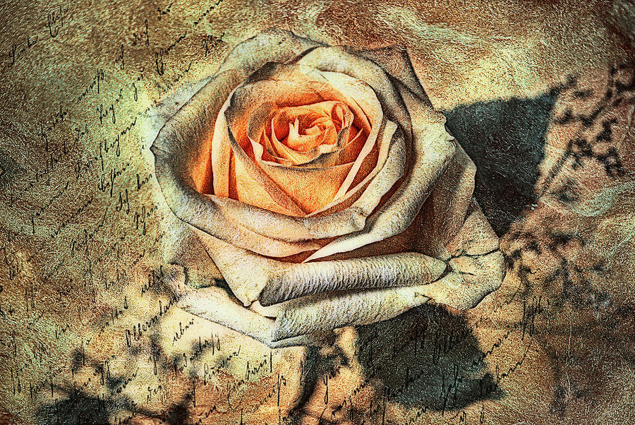 Rose Photograph - Instead Of A Kiss by Joachim G Pinkawa