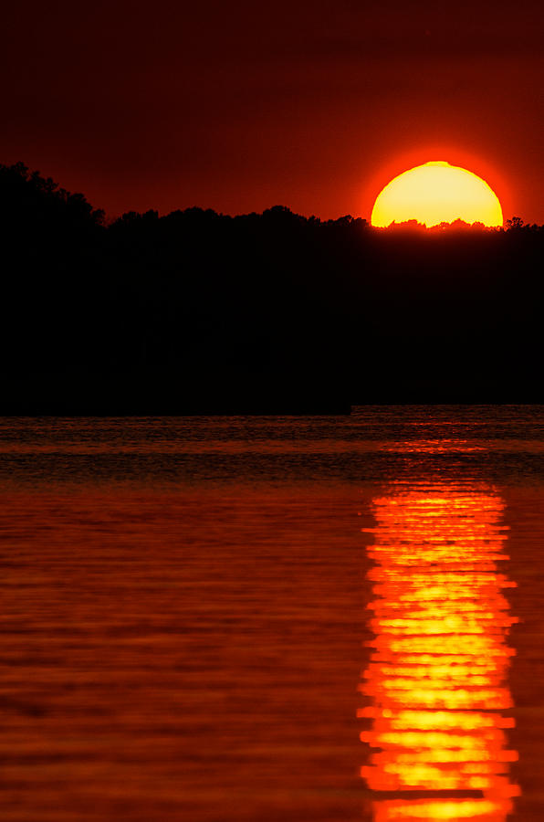 Intense sunset Photograph by David Kay