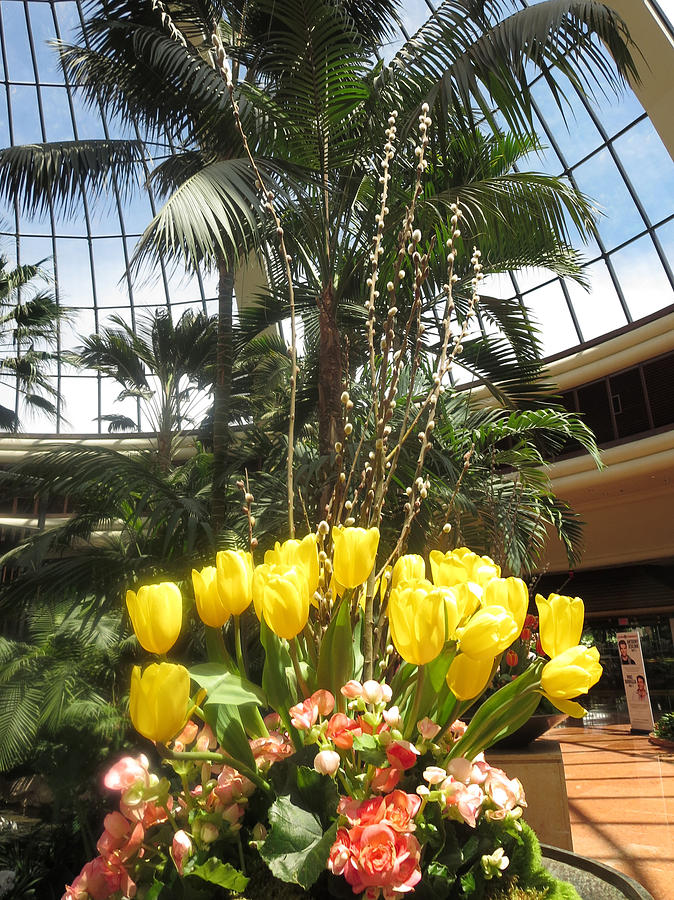 Interior Decorations Butterfly Gardens Vegas Golden Yellow Tulip