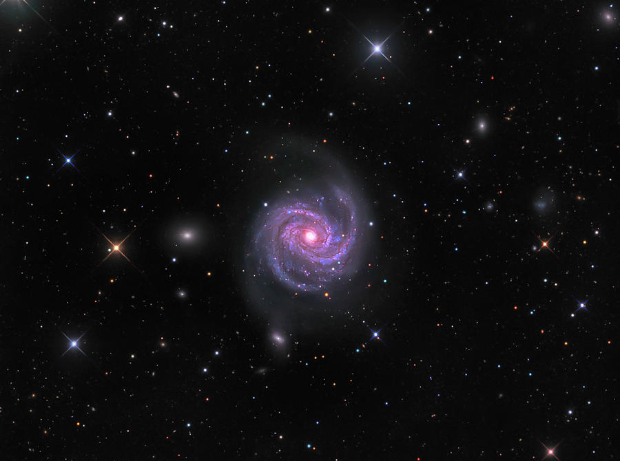 Intermediate Spiral Galaxy Messier 100 Photograph by Michael Miller