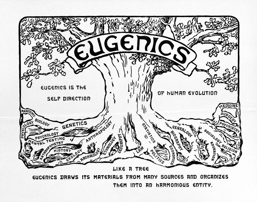 international-eugenics-logo-american-philosophical-society.jpg