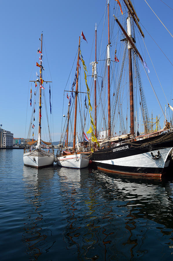 International Sailing Festival In Bergen Norway 2 Photograph