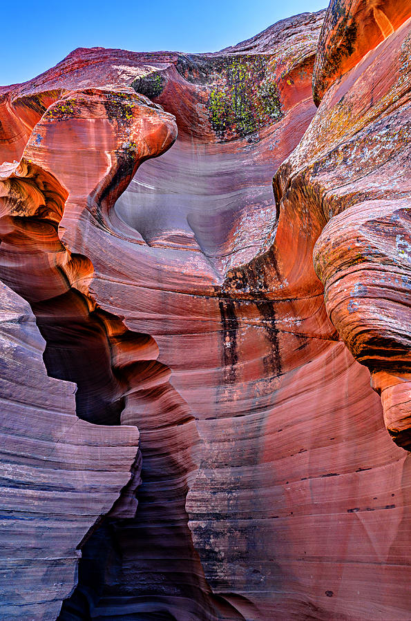 Into Antelope Canyon 1 Photograph by Jason Chu