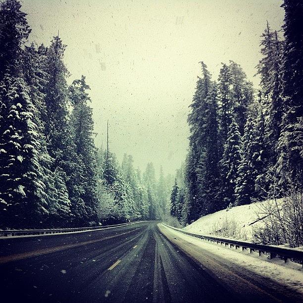Nature Photograph - Into The Blizzard #driving #snow #scary by Julia Goldberg