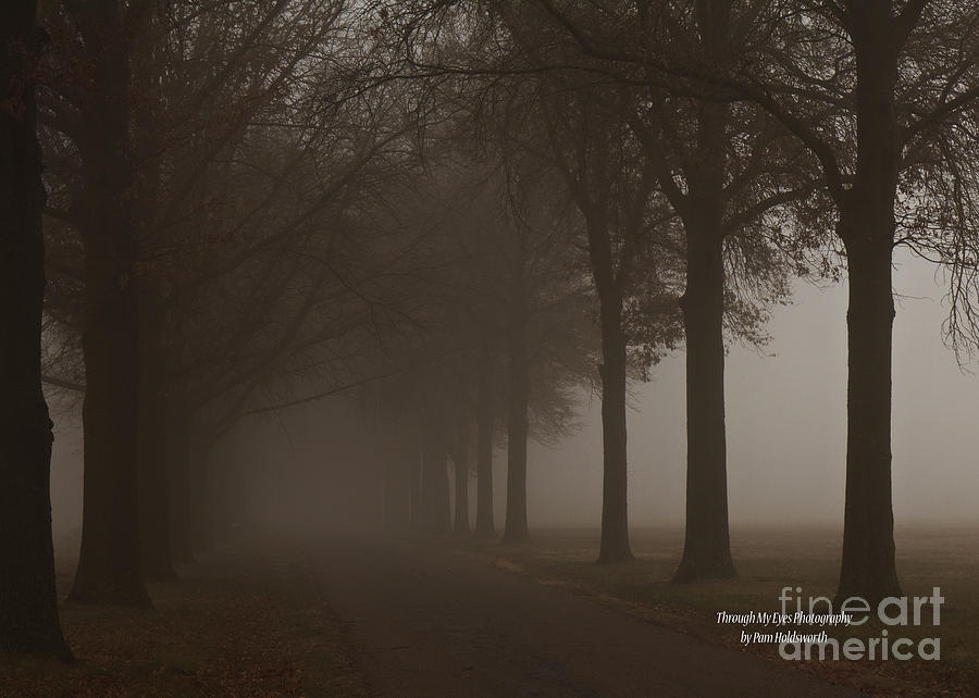 Into The Fog Photograph by Pam  Holdsworth