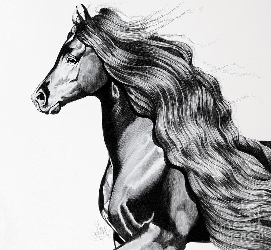 Horse Drawing - Into the light by Cheryl Poland