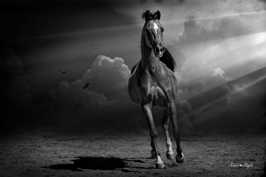 Horse Photograph - Into the Light by Karen Slagle
