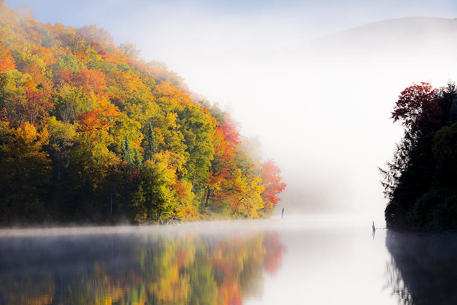 Fall Photograph - Into The Mist by Alan L Graham