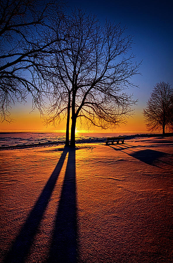 Winter Photograph - Into the Shadows of Light by Phil Koch