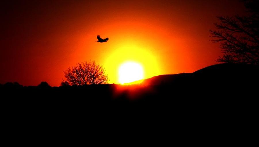 Red Sky Photograph - Into The Sun by Eddie Armstrong