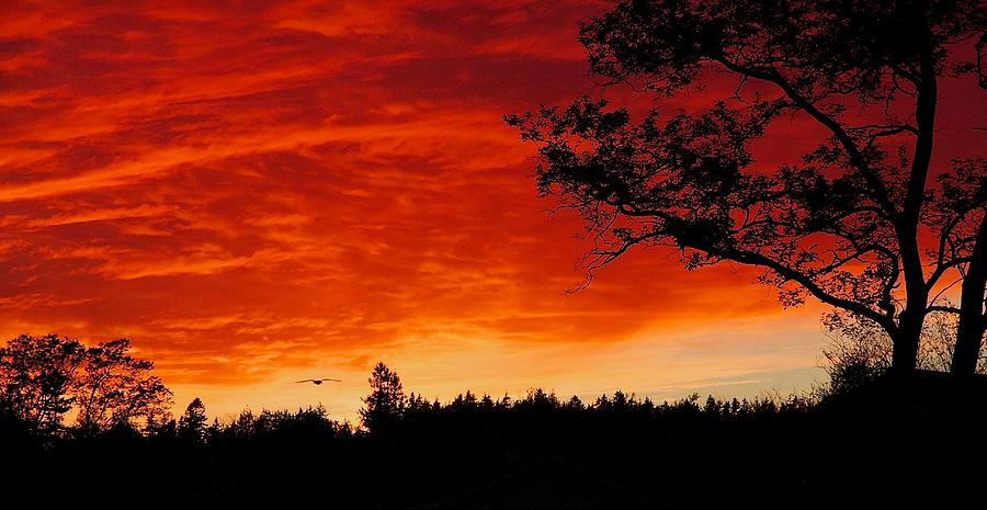 Sunset Photograph - Into the Sunset by Stuart Litoff