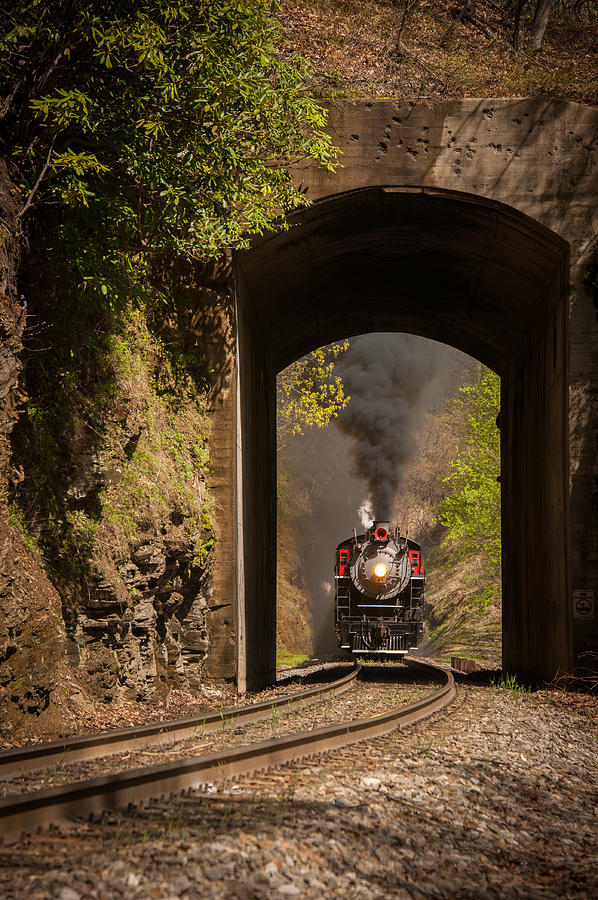 Into the Tunnel Photograph by Joye Ardyn Durham