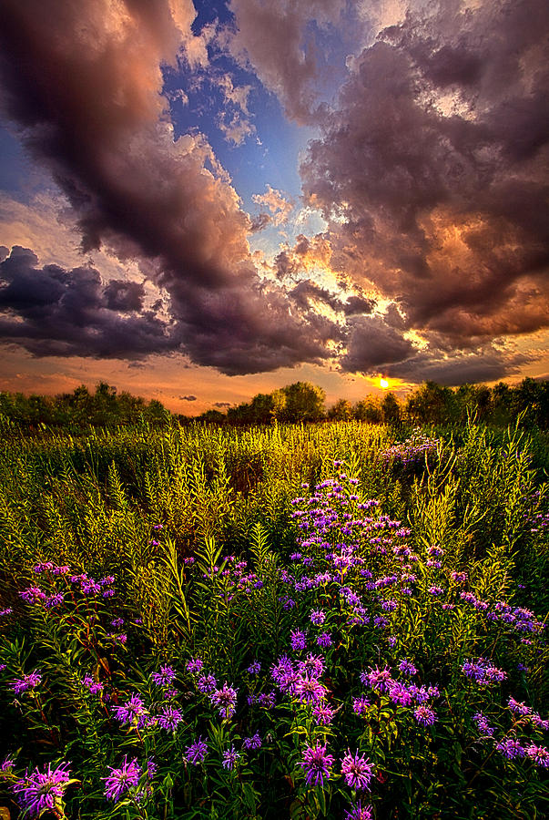 Into the West Photograph by Phil Koch