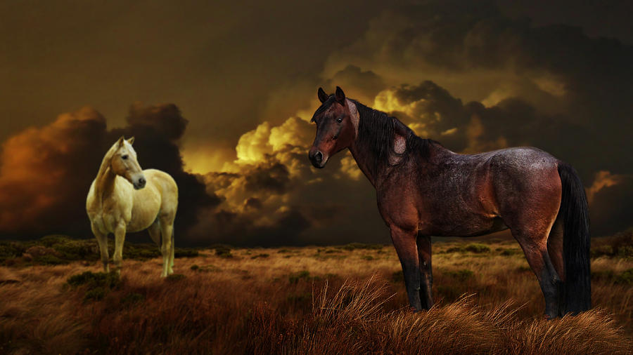 Horse Mixed Media - Into The Wild by Davandra Cribbie