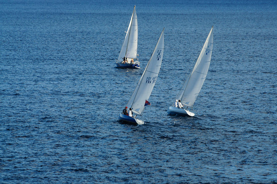 Into the Wind - Crisp White Sails on Blue Photograph by Georgia Mizuleva