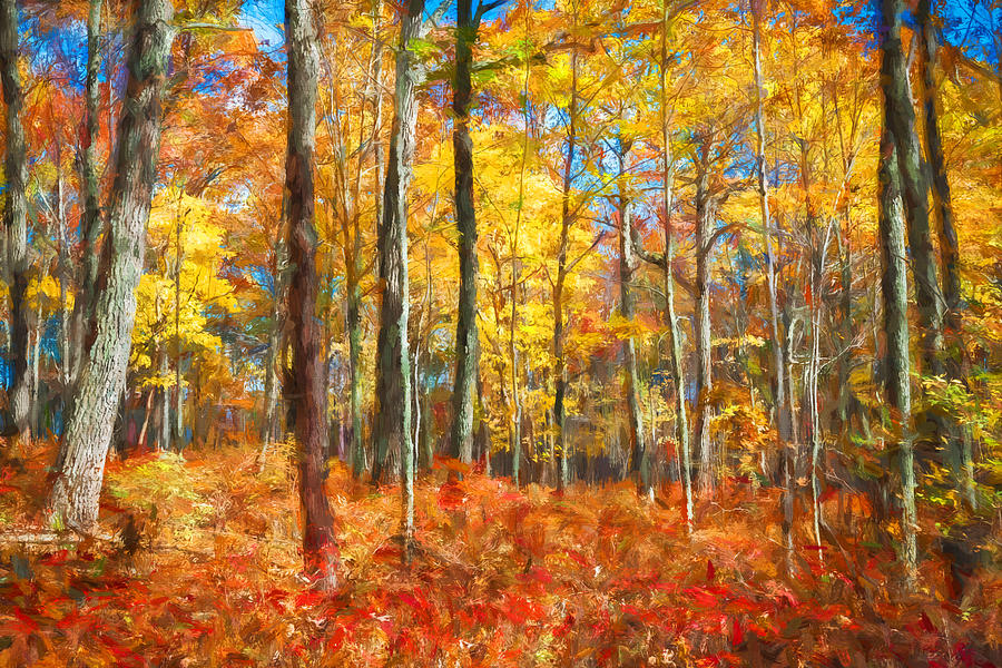 Into the Woods Fall Autumn Colors Painted Photograph by Rich Franco