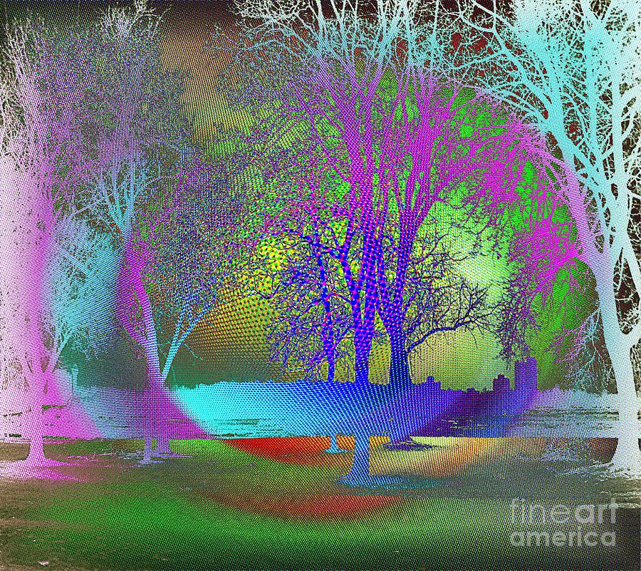 Into the Woods Digital Art by Iris Gelbart