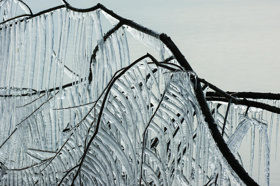Intricate Ice Curtains Photograph by Georgia Mizuleva