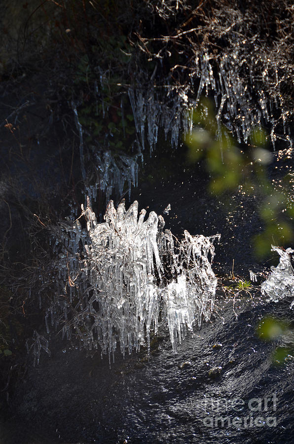 Intriguing Icicles in Yosemite Photograph by Debra Thompson