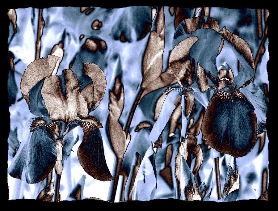 Intriguing Irises Digital Art by Will Borden
