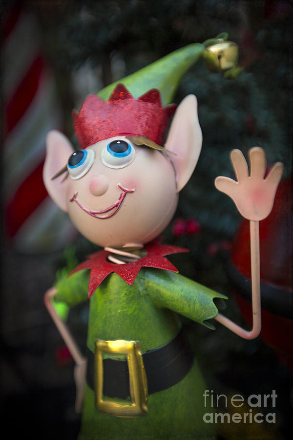 Christmas Photograph - Introduce Yours-ELF by Evelina Kremsdorf