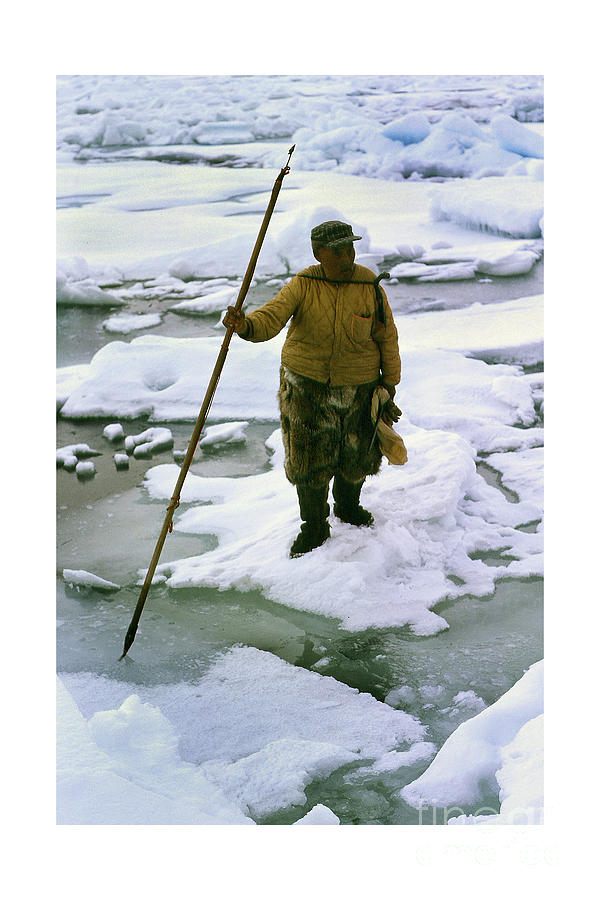 Inuit Photograph - Inuit Seal hunter Barrow Alaska July 1969 by Monterey County Historical Society