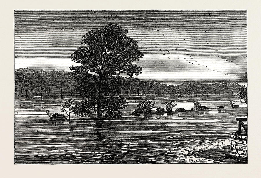 Inundations In The United States Of America Cumberland River Drawing by ...
