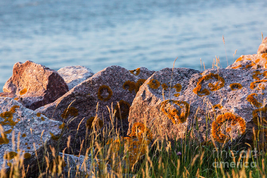 Beach Photograph - Inverness Beach Rocks  by Iris Richardson