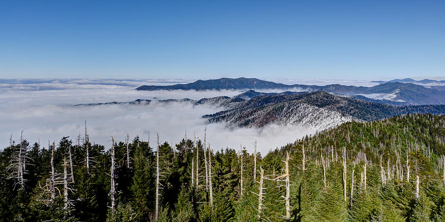 Autumn Photograph - Inversion by Kristina Plaas Autumn Photograph - Inversion by Kristina Plaas