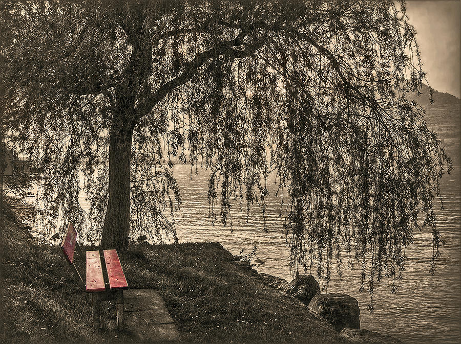 Invitation to Rest - Vintage Photograph by Hanny Heim
