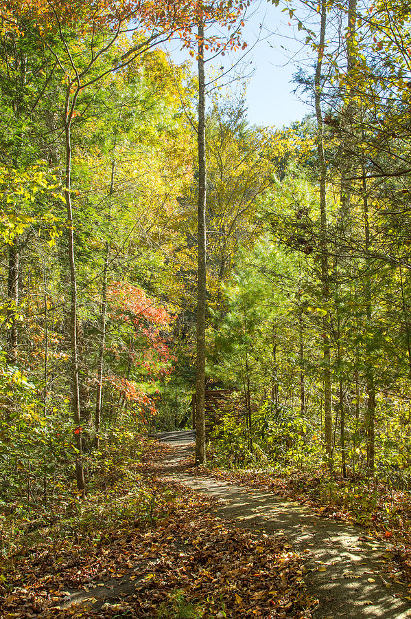 Fall Photograph - Inviting Footpath by John M Bailey