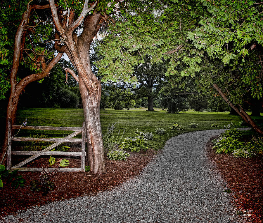 Inviting Path Photograph by Joe Granita