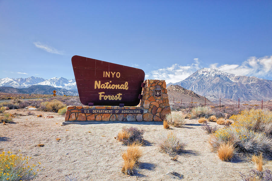 Inyo National Forest Sign Photograph by Priya Ghose