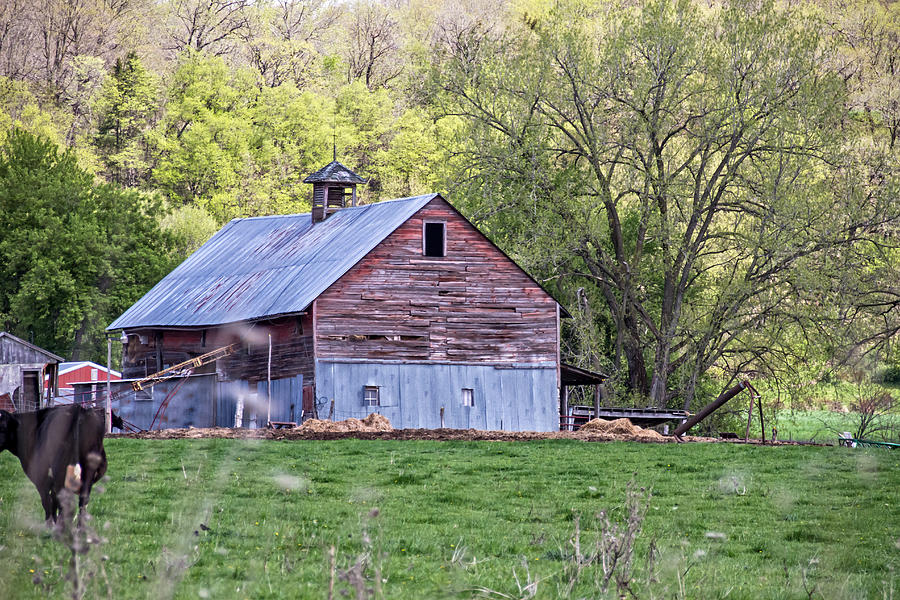 Iowa Barn Photograph by Wayne Stabnaw | Fine Art America