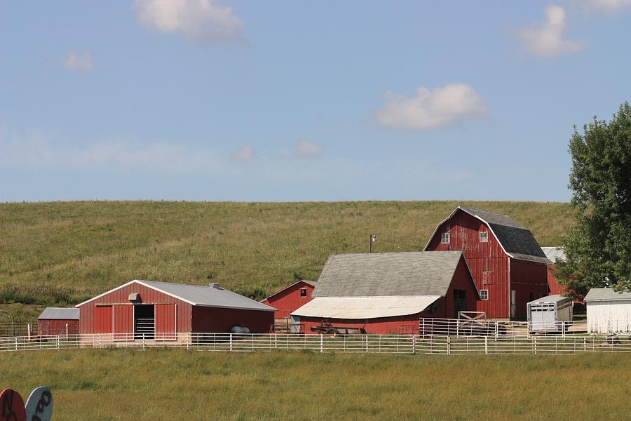 Iowa Barns Photograph by Kathryn Cornett