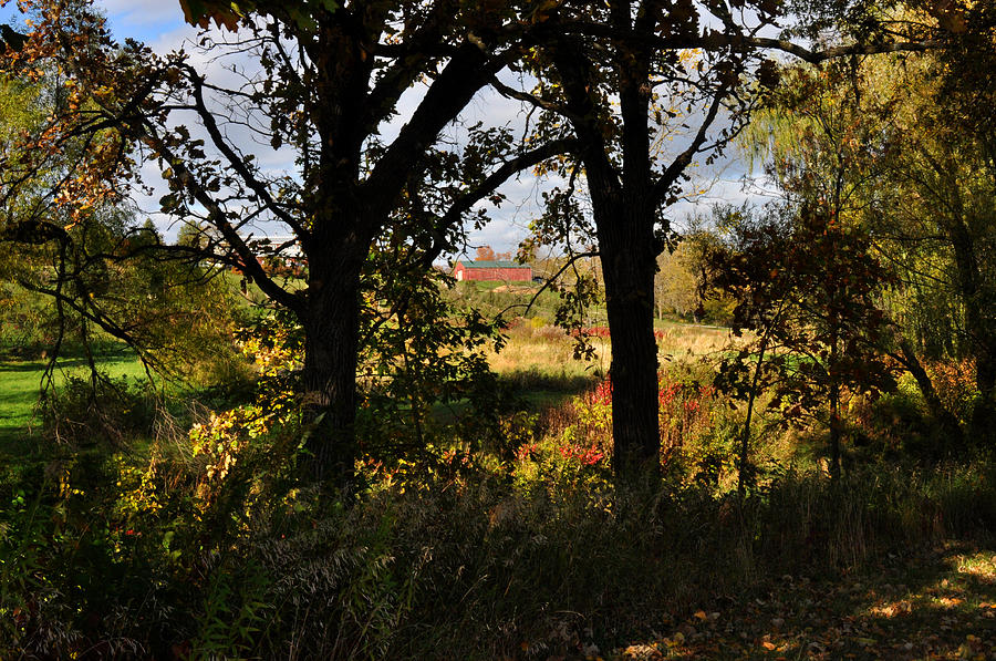 Iowa Countryside in Autumn Photograph by Diane Lent