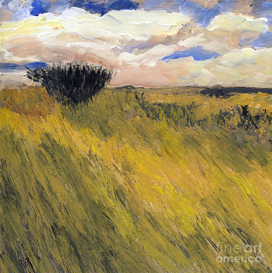 Iowa Prarie Grass Painting by Randy Sprout