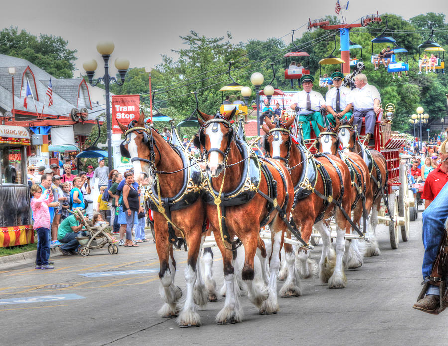 Iowa State Clydesdales Photograph by J Laughlin