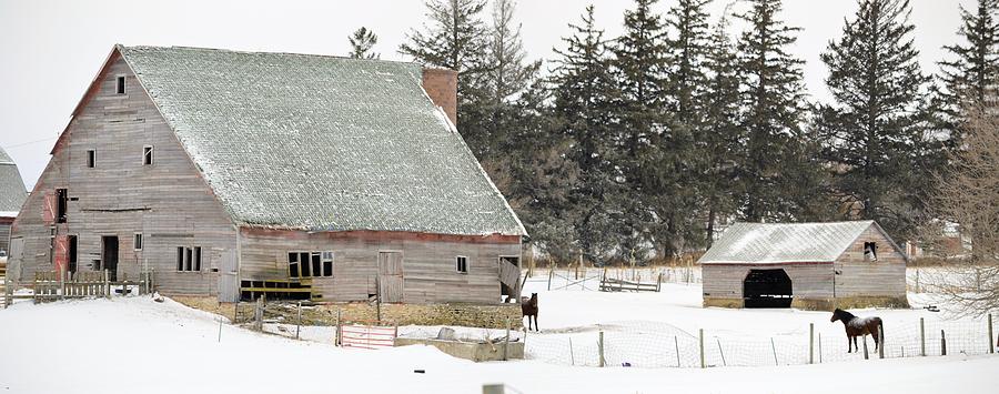 Iowa Winter Farm Photograph by Bonfire Photography