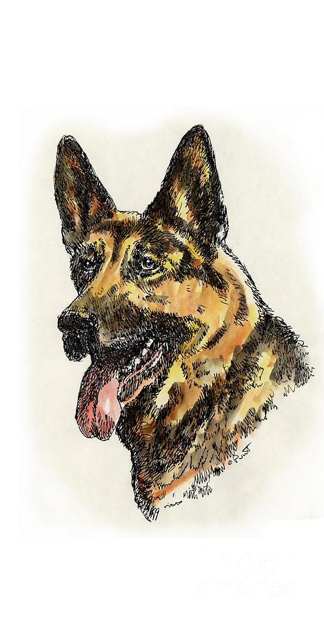 iPhone-Case-Dog-GermanShep. Drawing by Gordon Punt