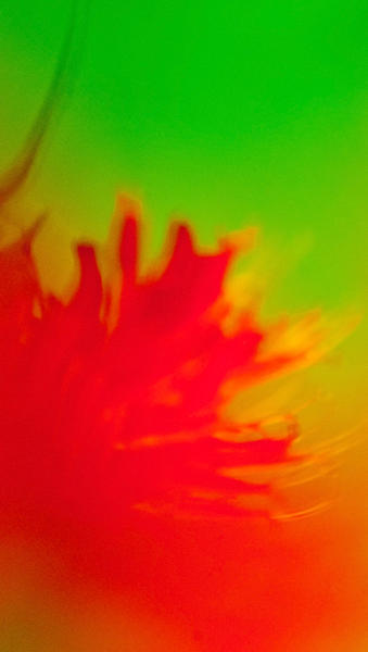 Floral Abstract Photograph by Jani Freimann