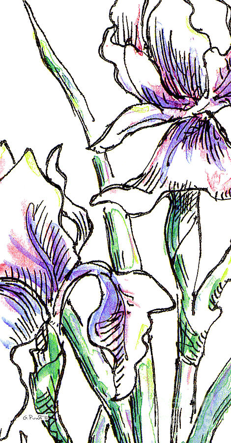 Flower Drawing - iPhone-Case-Flowers-Iris2 by Gordon Punt