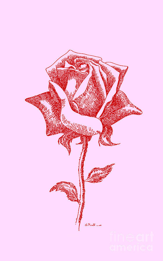 iPhone-Cases-Rose-3 Drawing by Gordon Punt