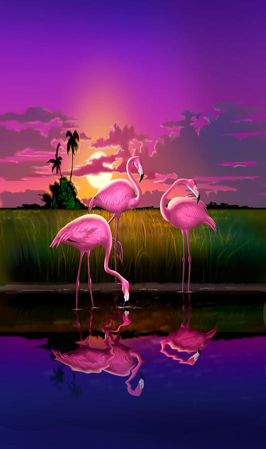 iPhone Case - Flamingoes Flamingos Tropical Sunset landscape florida ...