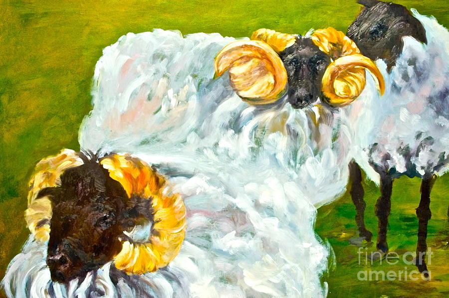 Sheep Painting - Ireland by Michelle Dommer