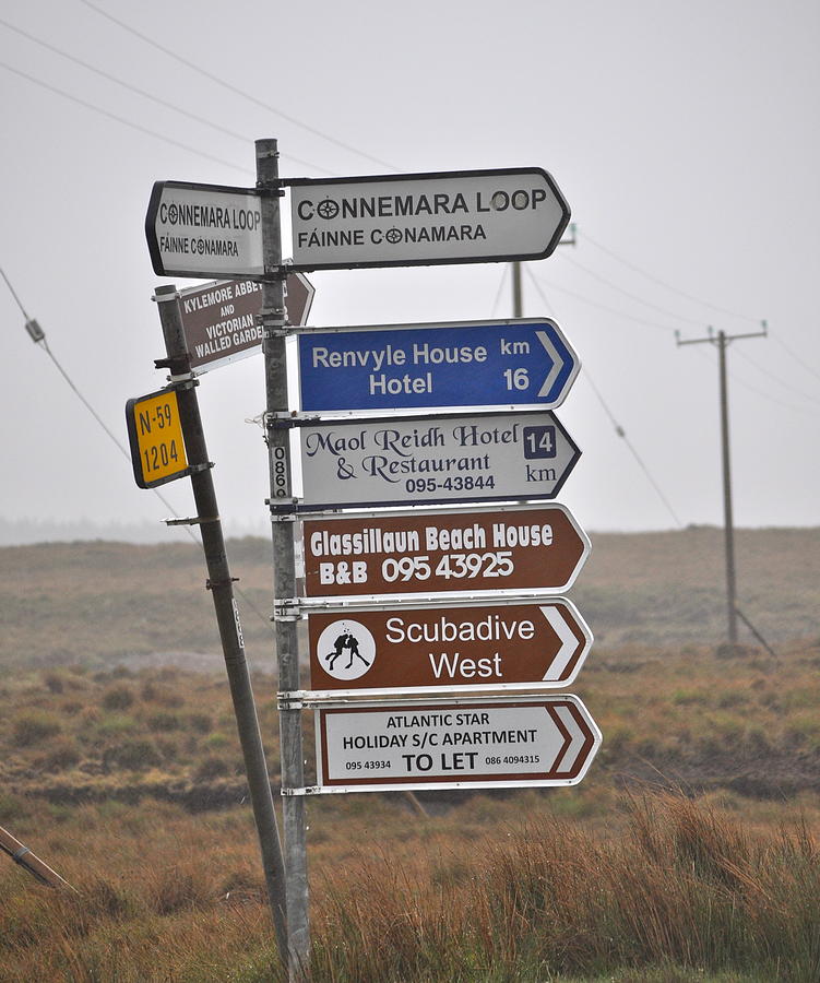 Ireland Road Sign 1 Photograph by Teresa Tilley