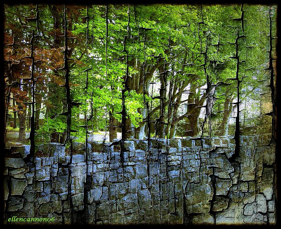 Tree Photograph - Ireland Stone Wall and Trees by Ellen Cannon