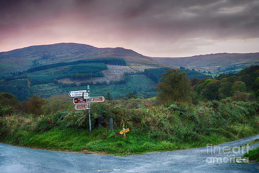 Ireland - Wicklow Way  Photograph by Juergen Klust