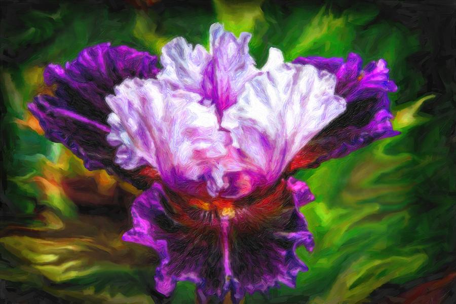 Iridescent Iris Digital Art by Lilia D