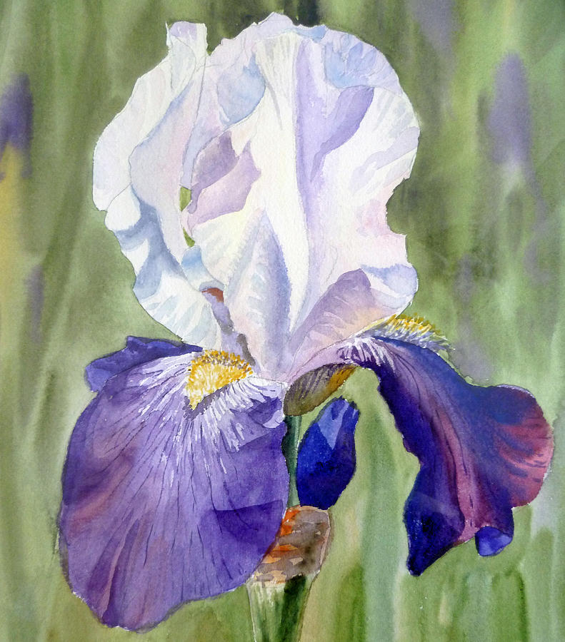 Iris     Painting by Irina Sztukowski